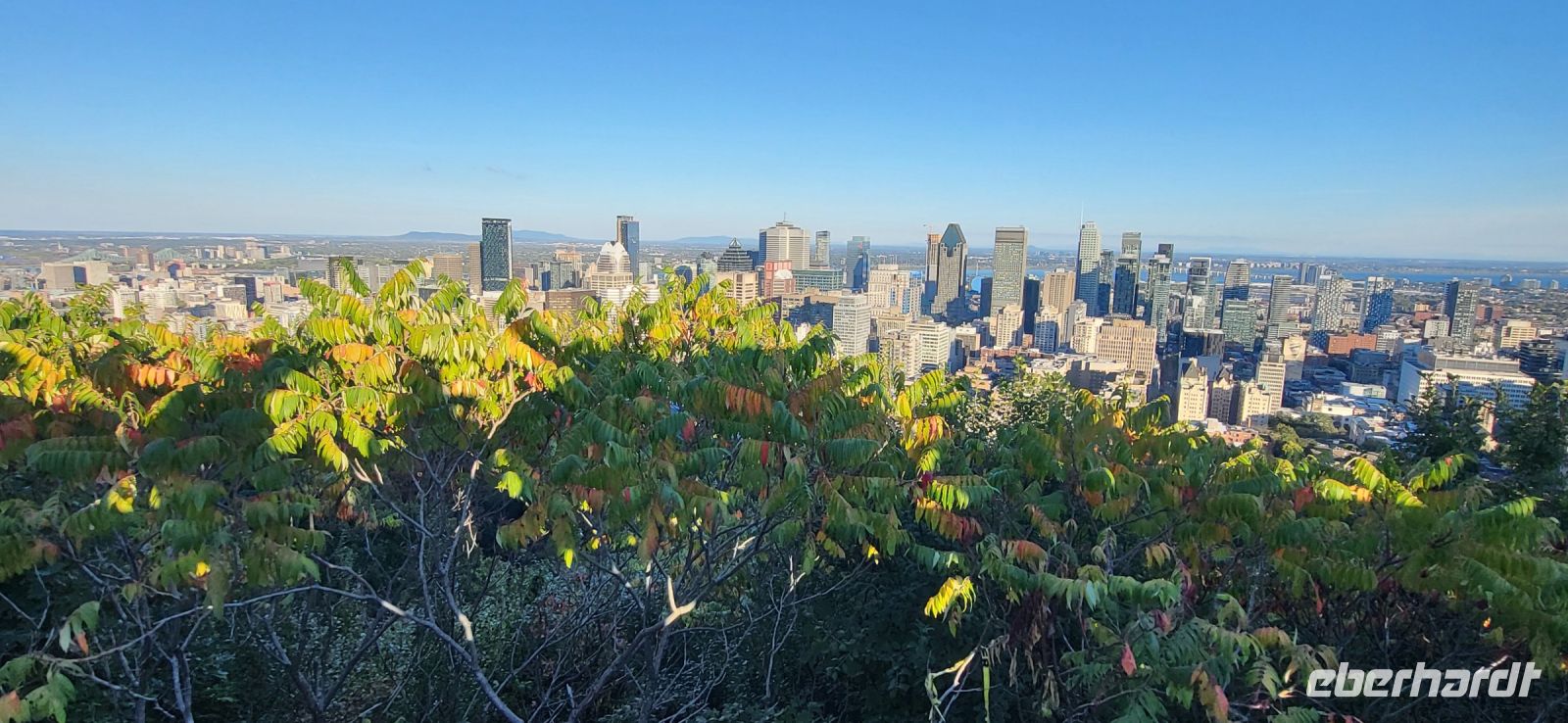 94 Blick vom Mont Royal