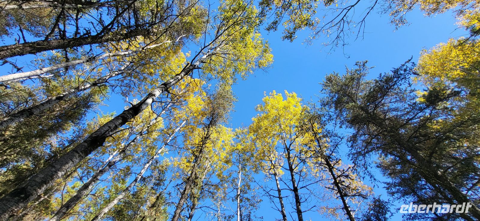 124  Wanderung am Lac Taureau