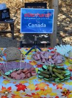 129 Picknick für unsere Gäste