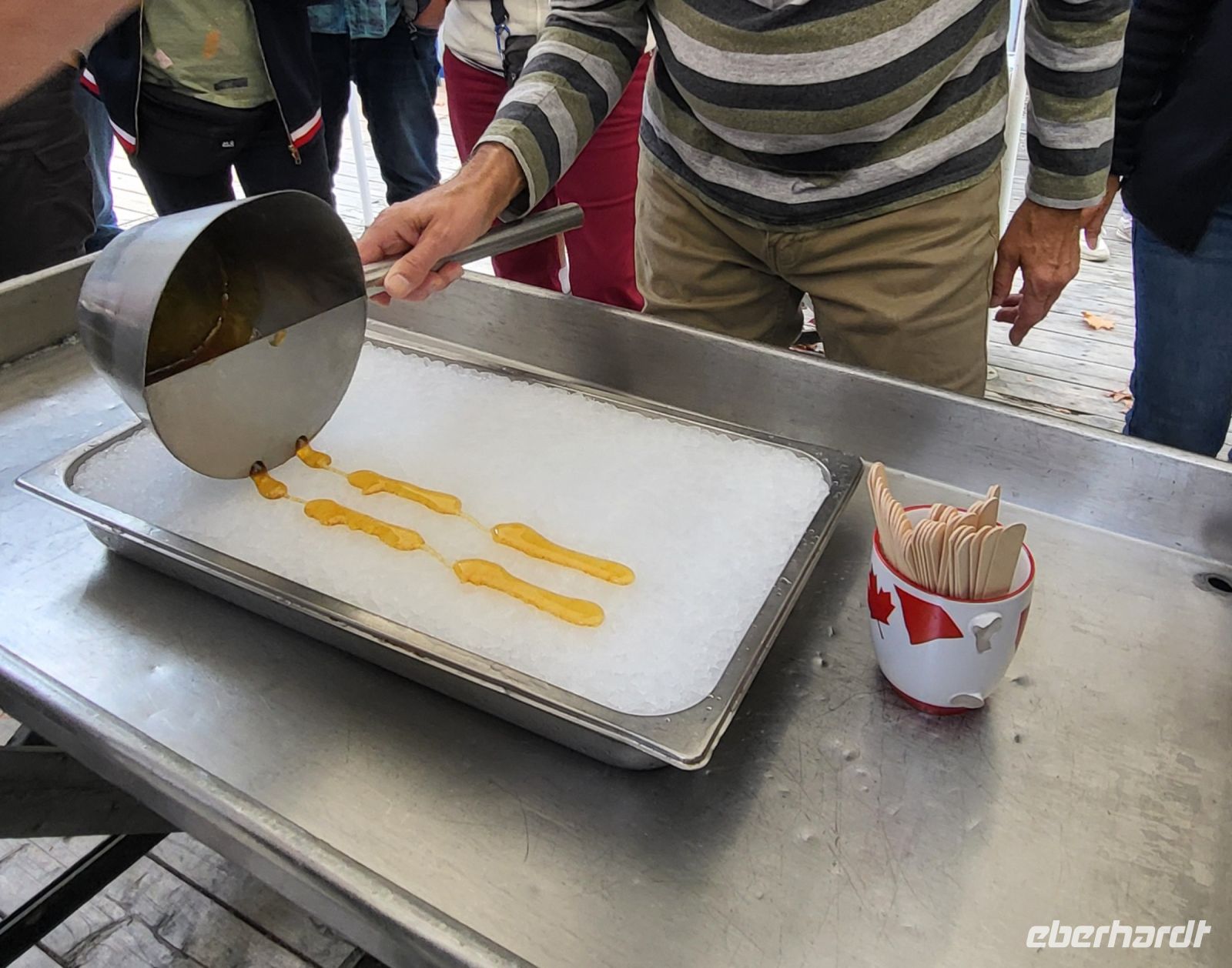 151 Ahornlollies für uns zum testen