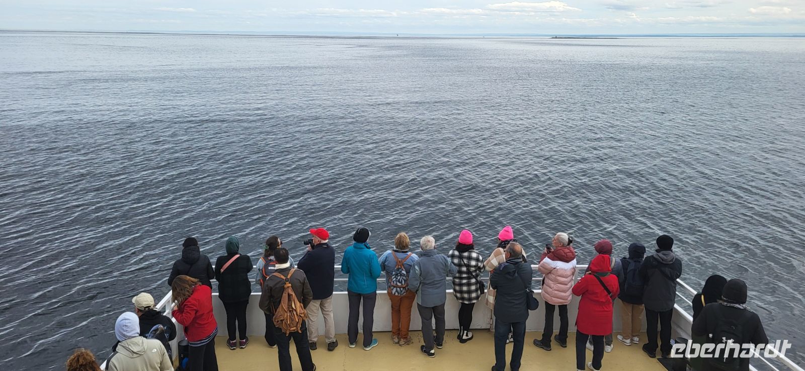 178 auf zum Whale Watching