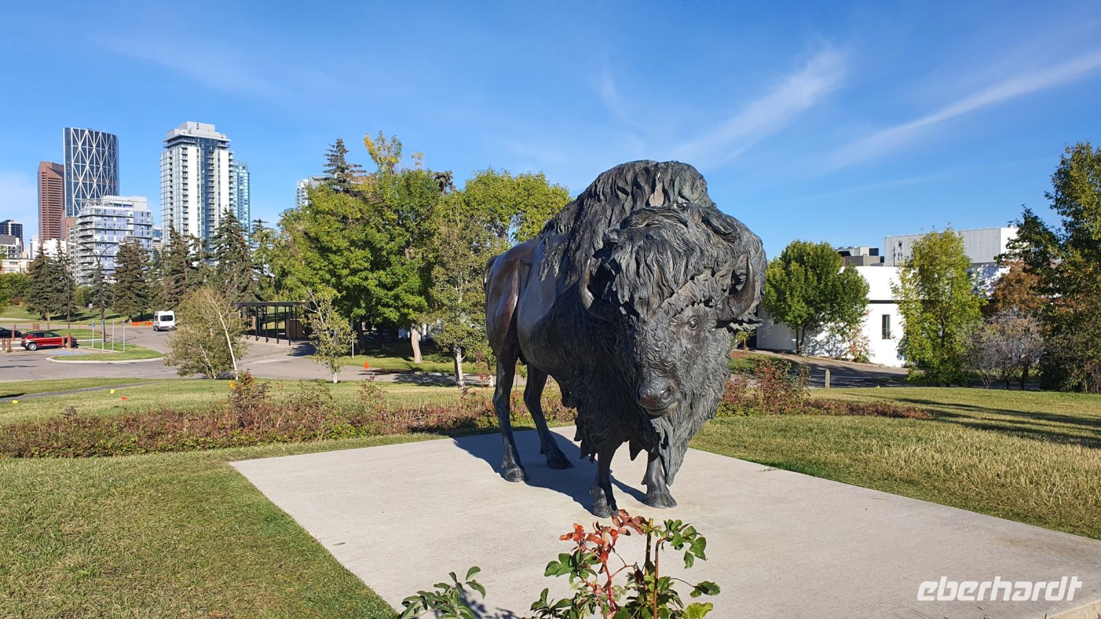 Bison-Skulptur am Fort Calgary