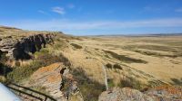 Head-Smashed-In Buffalo Jump - die Büffelklippe der Blackfoot