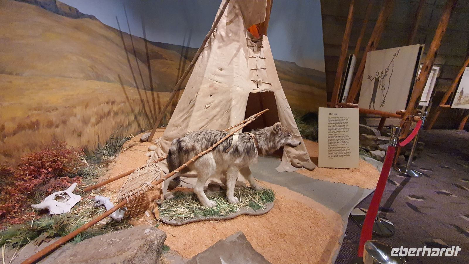 Tipi und Travois der Blackfoot im Besucherzentrum