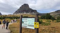 Wanderweg zum Hidden Lake am Logan Pass im Glacier-Nationalpark - Montana (USA)