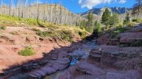 Morgenspaziergang am Red Rock Canyon im Waterton-Lakes-Nationalpark