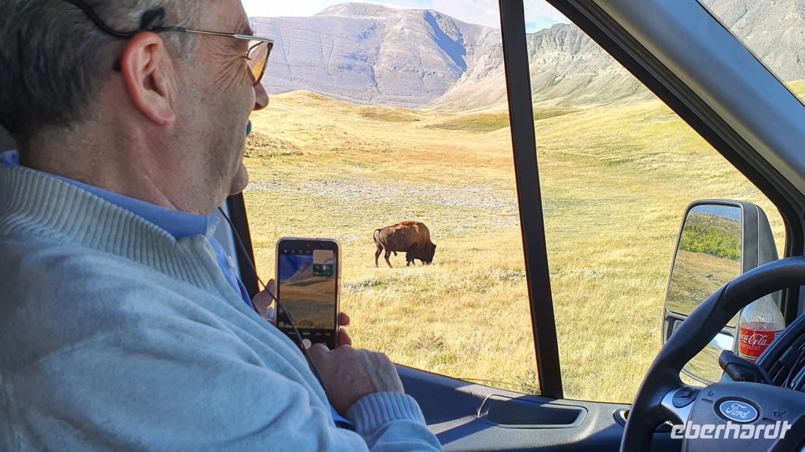 Bison-Weide bei Waterton