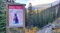 Grizzly-Bären-Warnschild am Moraine Lake im Banff-Nationalpark