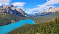 Peyto Lake am Icefield's Parkway