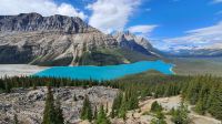 Peyto Lake am Icefield's Parkway
