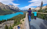 Peyto Lake am Icefield's Parkway