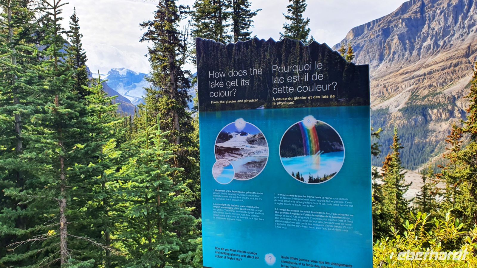 Peyto Gletscher im Hintergrund und wie die Gletschermilch entsteht