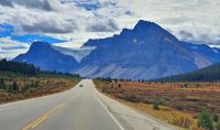 Panoramastraße Icefield's Parkway - Bow Gletscher