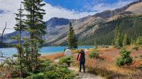 Kleine Wanderung am Bow Lake