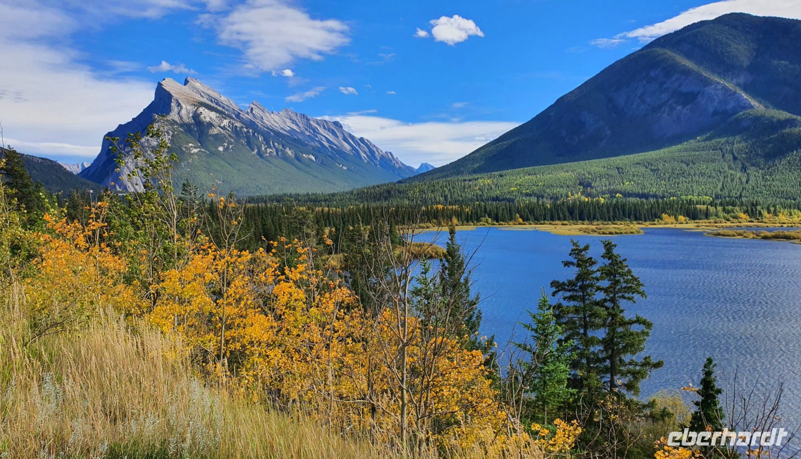 Moose Lake und Mount Rundle im Banff-Nationalpark