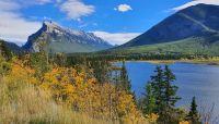 Moose Lake und Mount Rundle im Banff-Nationalpark