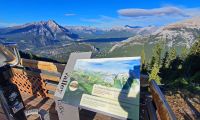 Blick ins Bow Valley vom Sulphur Mountain