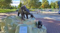 Grizzly Skulptur in Kelowna
