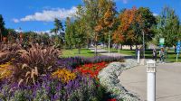 Herrliche Blumenbeete in Kelowna