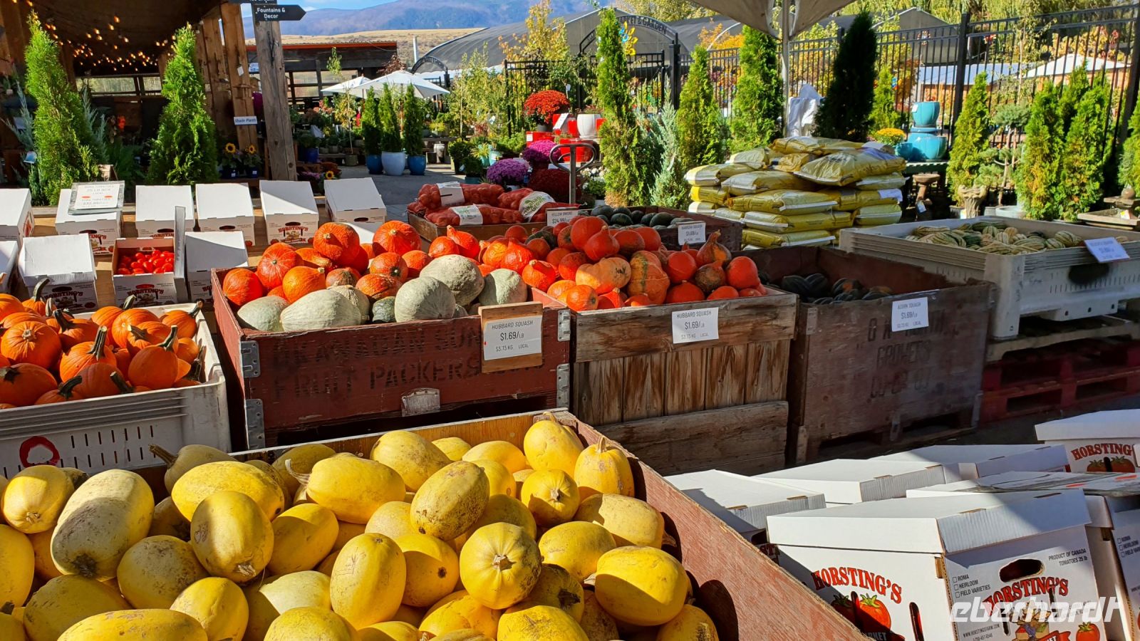 Farmers Market in Vernon