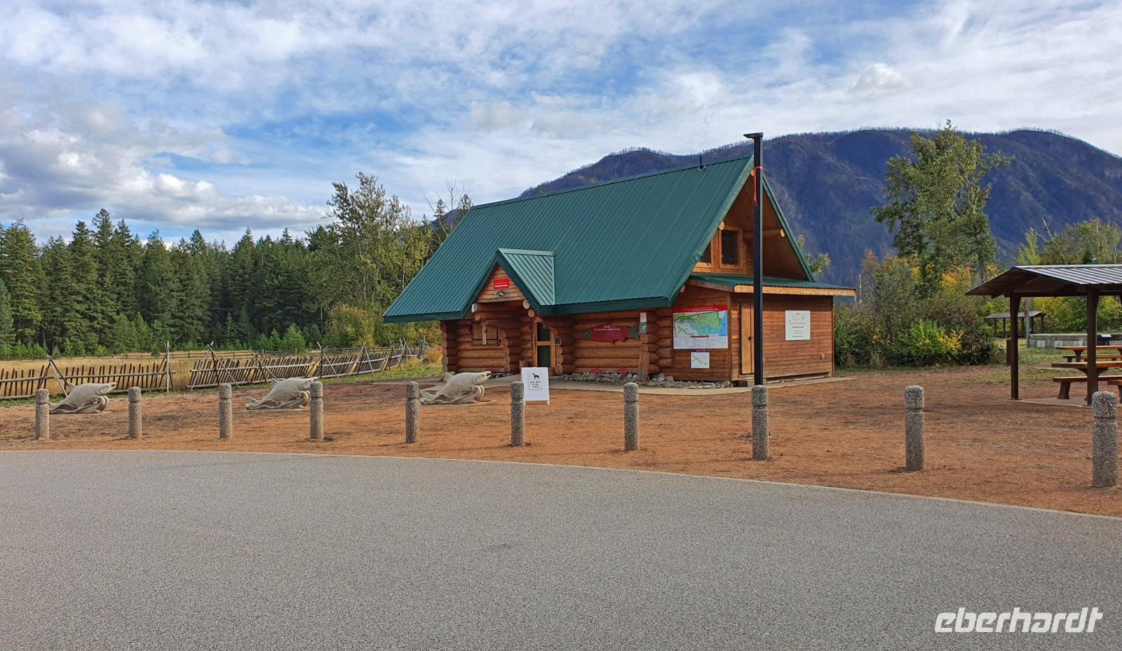 Ausflug zum Laichplatz der Lachse am Adams River