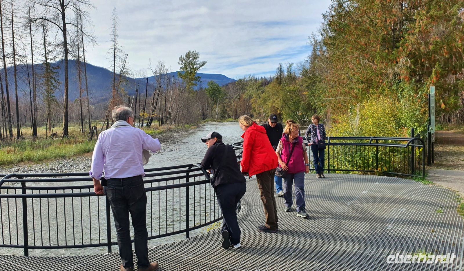 Ausflug zum Laichplatz der Lachse am Adams River