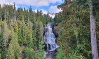 Alexander Wasserfall bei Whistler