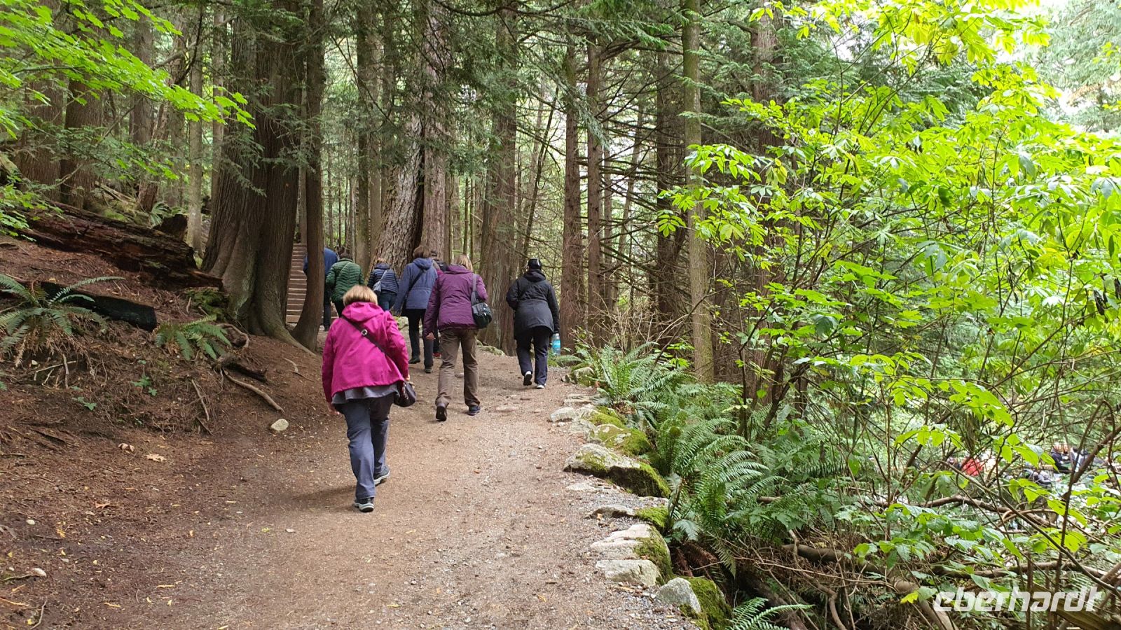 Kleine Wanderung zu den Shannon Falls