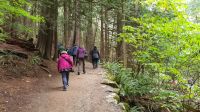 Kleine Wanderung zu den Shannon Falls