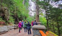 Kleine Wanderung zu den Shannon Falls