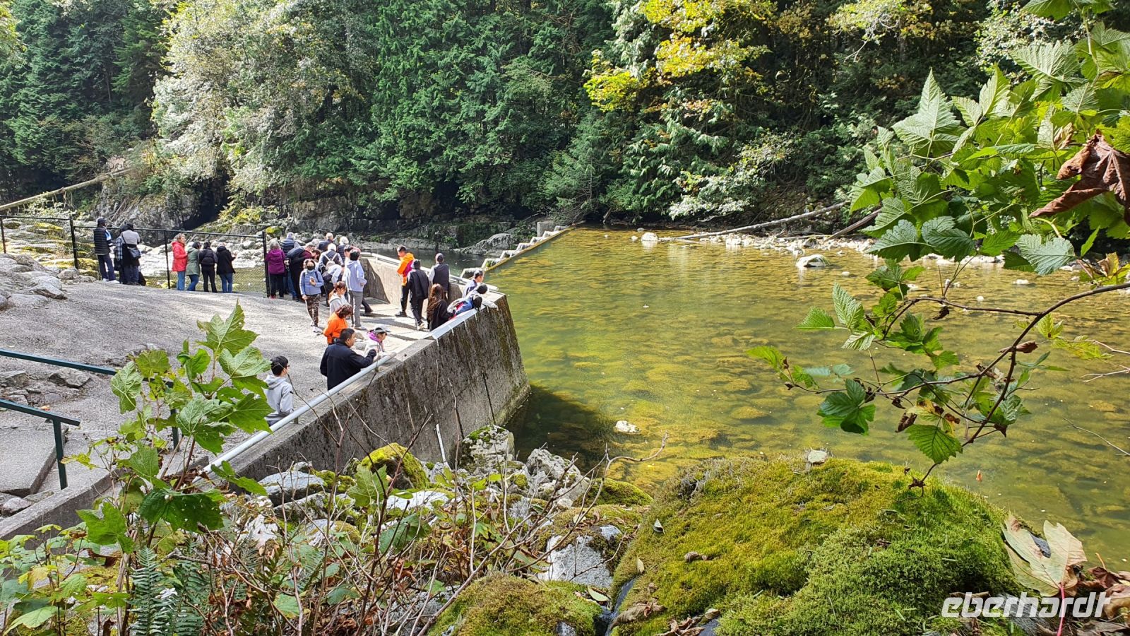 Lachszuchtstation am Capilano River bei Vancouver