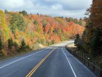 5. Tag – Huntsville bis Ottawa – Fahrt durch die herbstliche Landschaft auf dem Highway 60