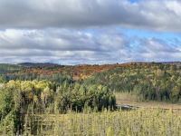 5. Tag – Huntsville bis Ottawa – Aussicht vom Besucherzentrum im Algonquin Park