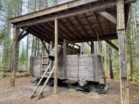 5. Tag – Huntsville bis Ottawa – Spaziergang auf dem „Logging Trail“ im Algonquin Park