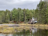 5. Tag – Huntsville bis Ottawa – Spaziergang auf dem „Logging Trail“ im Algonquin Park