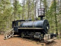 5. Tag – Huntsville bis Ottawa – Spaziergang auf dem „Logging Trail“ im Algonquin Park