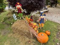 6. Tag – Ottawa bis Montréal – Tour durch den Omega-Wildpark – Herbst- und Halloweendeko