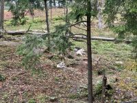 6. Tag – Ottawa bis Montréal – Tour durch den Omega-Wildpark – Waldwölfe