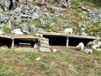 6. Tag – Ottawa bis Montréal – Tour durch den Omega-Wildpark – Schneeziegen