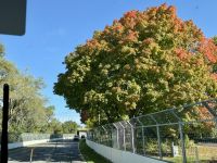 7. Tag – Montréal bis Lac Taureau – Fahrt über die Formel-1-Rennstrecke auf der Île Sainte-Hélène