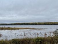 8. Tag – Erholung am Lac Taureau – Herbstlicher Waldspaziergang – Fotostopp am Lac Taureau