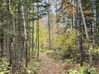 8. Tag – Erholung am Lac Taureau – Herbstlicher Waldspaziergang