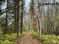 8. Tag – Erholung am Lac Taureau – Herbstlicher Waldspaziergang