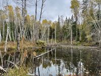 8. Tag – Erholung am Lac Taureau – Herbstlicher Waldspaziergang – Biberdamm #2