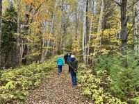 8. Tag – Erholung am Lac Taureau – Herbstlicher Waldspaziergang