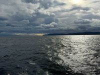 10. Tag – Tadoussac und Walbeobachtung – Walbeobachtung auf dem Sankt-Lorenz-Strom