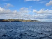 10. Tag – Tadoussac und Walbeobachtung – Walbeobachtung auf dem Sankt-Lorenz-Strom