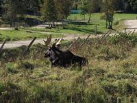 228 Omega Wildpark