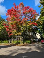 Eindrücke Niagara-on-the-Lake