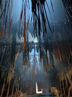 Sainte-Marie among the Hurons